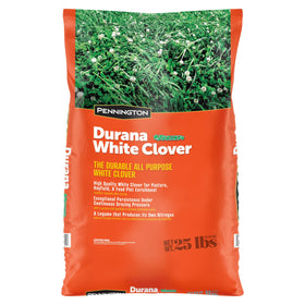 Pennington Durana White Clover field shows dense growth for soil cover and erosion control.