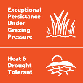 Durana green growth highlights nutrient-rich forage for deer and turkey.