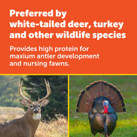 25 lb bag image supports larger food plots with Pennington Durana durability.