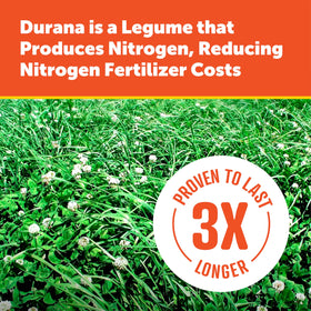 5 lb bag image shows ready-to-seed Pennington Durana for easy reseeding.