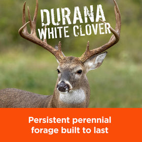 Pennington Rackmaster Durana provides 25% protein forage for deer nutrition