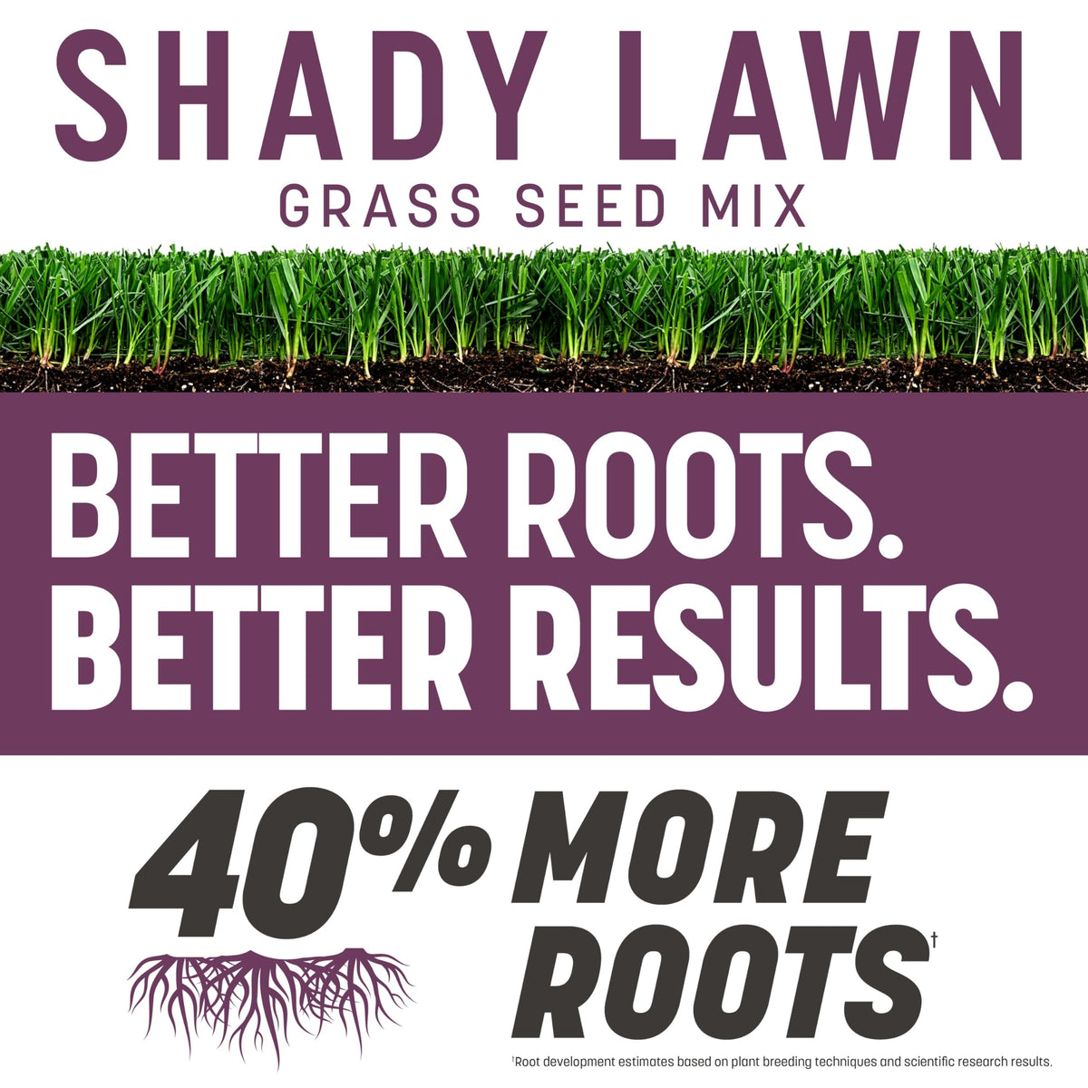 Pennington Rebels roots dense turf illustration highlighting deep root system.