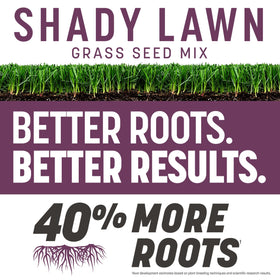 Pennington Rebels roots dense turf illustration highlighting deep root system.