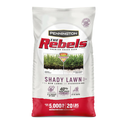 Pennington Rebels tall fescue shady lawn overview with dense, drought-tolerant turf.