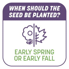 Pennington fertilizer pellets support lawn growth with balanced nutrients.