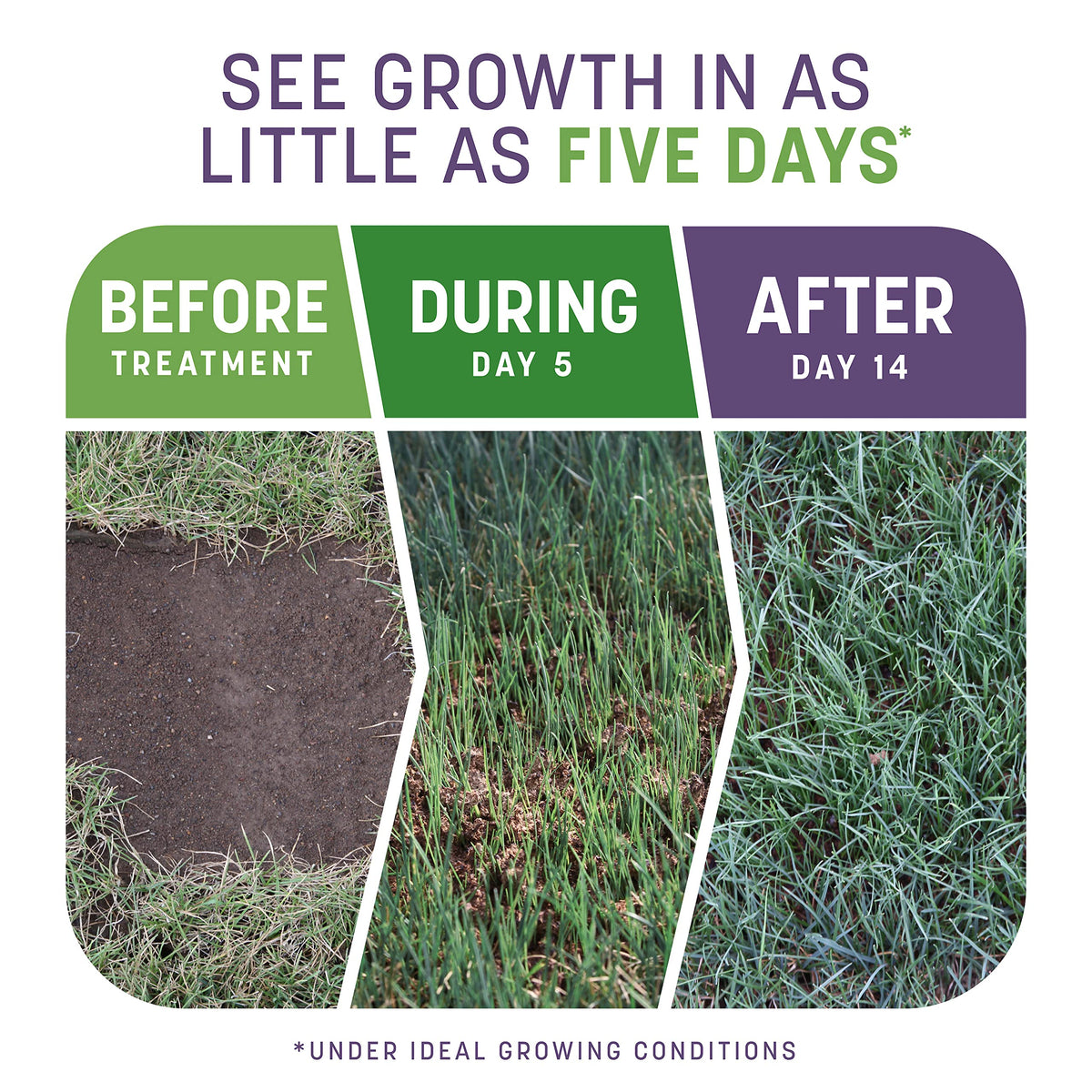 Pennington mulch coating reveals when to water by light color change.