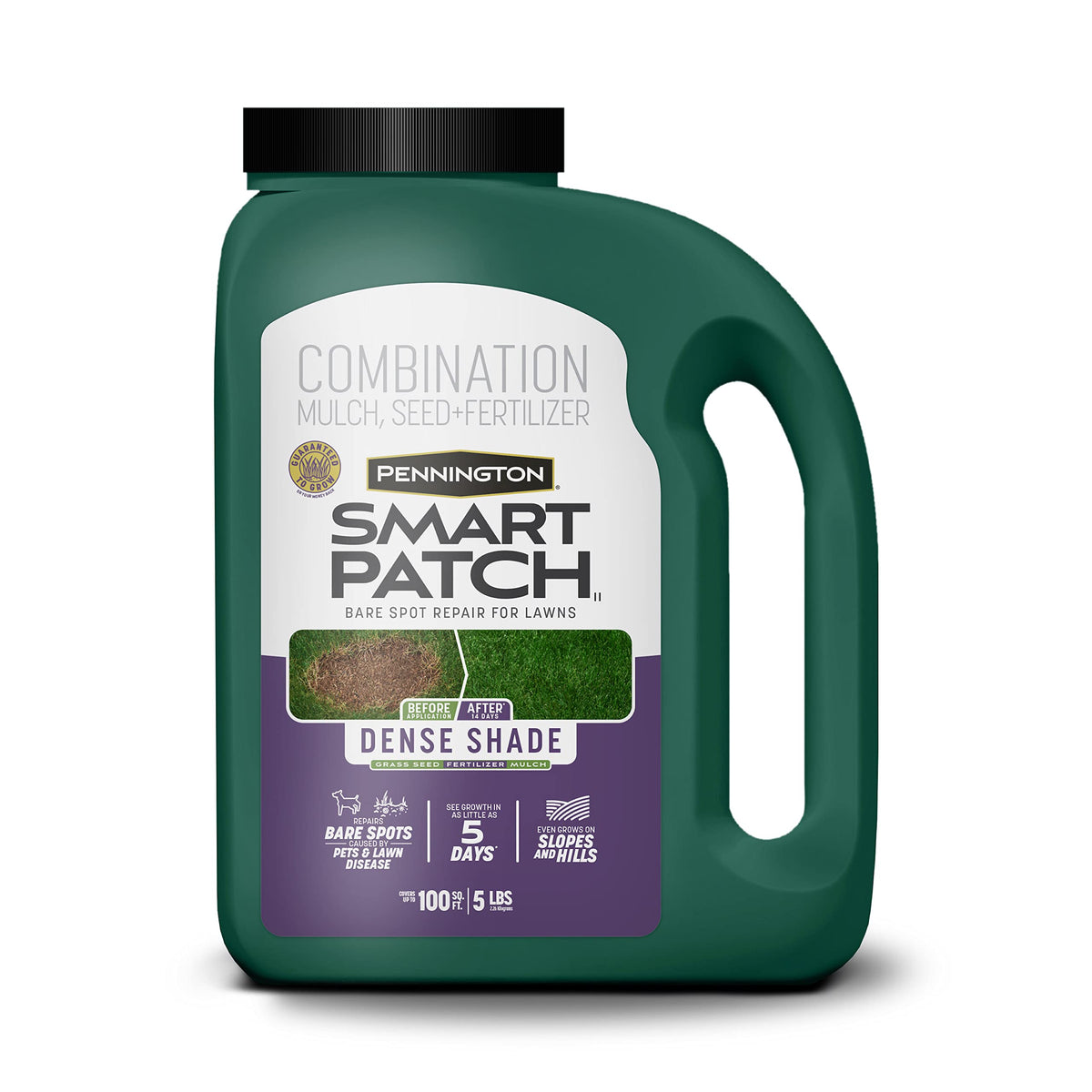 Pennington Smart Patch Dense Shade seed coat promotes fast germination for bare spots.