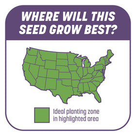 Pennington tackifier mulch signals watering needs after dry spells.