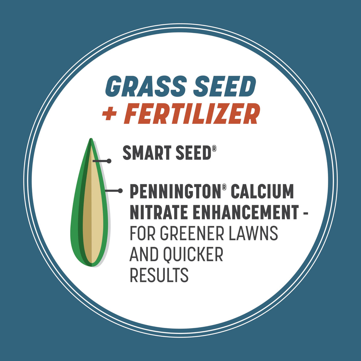Fertilizer-coated Pennington Smart Seed Ohio State seed close-up