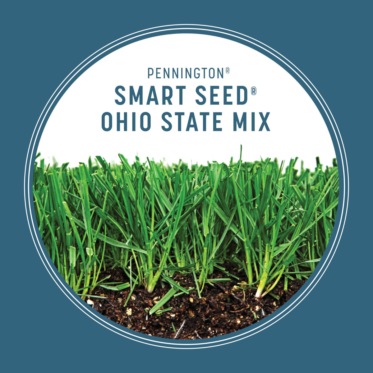 Pennington Smart Seed Ohio State sunlight conditions illustrating 4-6 hours sun.