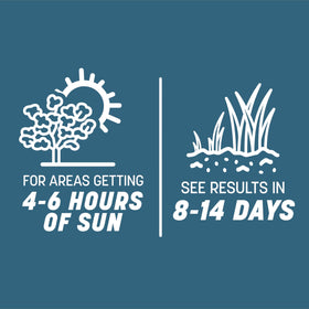 Water-saving design of Pennington Smart Seed Ohio State grass mix