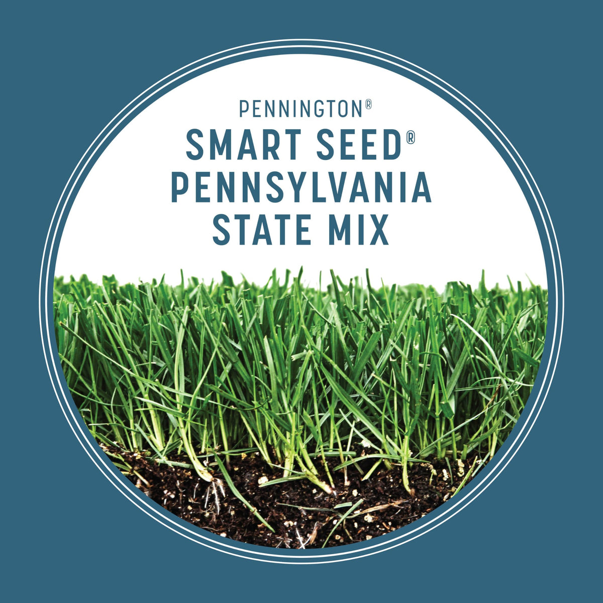 Pennington Smart Seed Pennsylvania Mix demonstrates disease-resistant turf for PA lawns.
