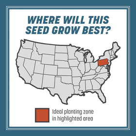 Pennington Smart Seed Pennsylvania Mix drought-tolerant seeds reducing water use.