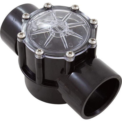 Pentair 263042 CPVC check valve, 2-port straight, ensures steady pool pump flow.
