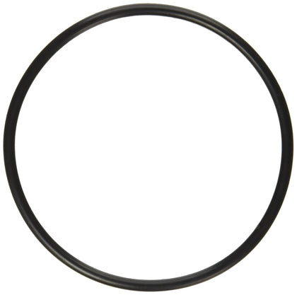 Pentair 272541 O-Ring for pool and spa valves; keeps the filtration seal tight.