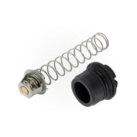 Pentair 77707-0010 kit during installation on Sta-Rite Max-E-Therm heater for reliable maintenance