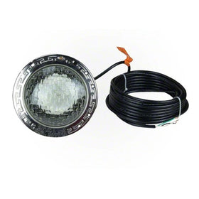 Pentair Amerilite clear lens cover ensures crisp, reliable light output in wet environments.