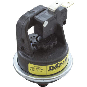Close-up of Pentair MasterTemp pressure switch showing durable connectors for easy installation.