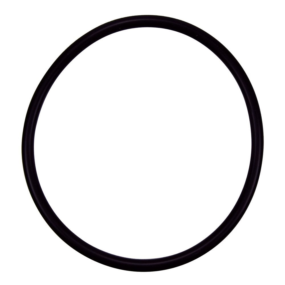 Pentair R172009 cap O-ring replacement for pool and spa filters ensures reliable seal.
