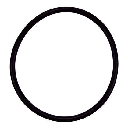 Pentair R172009 cap O-ring replacement for pool and spa filters ensures reliable seal.