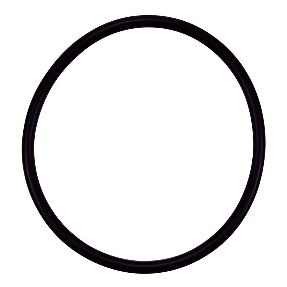 Pentair R172009 cap O-ring replacement for pool and spa filters ensures reliable seal.