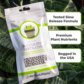 Applying pellets to soil supports easy routine care and even distribution during watering.