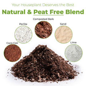 Perfect Plants balanced potting mix in use promotes drainage and airflow.