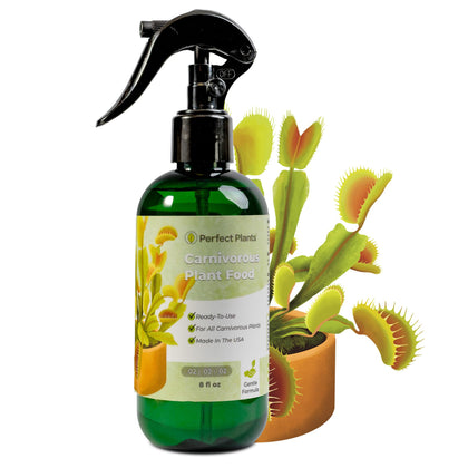 Perfect Plants carnivorous plant food spray bottle ready to nourish thriving Venus flytraps