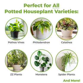 Perfect Plants clay pot setup with soil supports easy planting.
