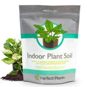 Perfect Plants indoor soil 4qt bag closeup with natural ingredients for healthier roots.
