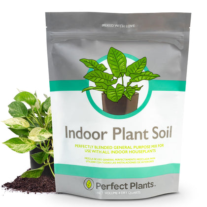 Perfect Plants indoor soil 4qt bag closeup with natural ingredients for healthier roots.