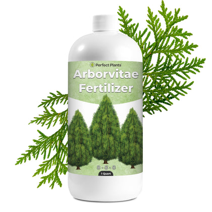Perfect Plants Liquid Arborvitae Fertilizer bottle ready for seasonal feeding.