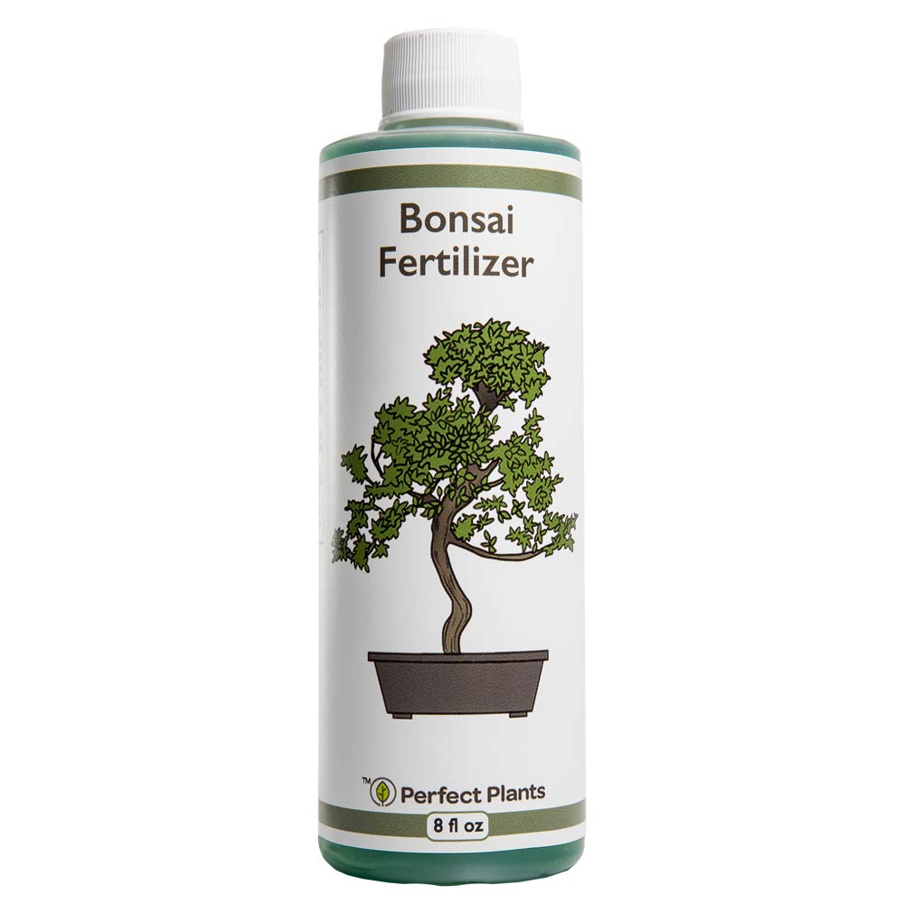 Perfect Plants Liquid Bonsai Fertilizer 8oz bottle promotes vibrant growth and color.