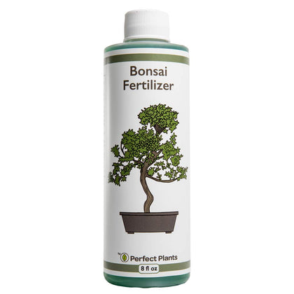 Perfect Plants Liquid Bonsai Fertilizer 8oz bottle promotes vibrant growth and color.