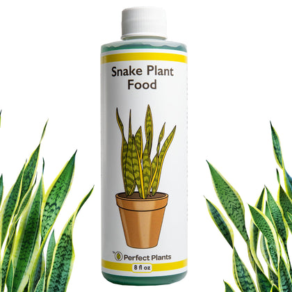 Perfect Plants Liquid Snake Plant Fertilizer bottle for easy, concentrated feeding that supports healthy growth.