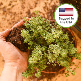 Perfect Plants moisture-management closeup highlights quick drainage and root health.