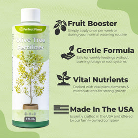 Perfect Plants indoor outdoor use fertilizer for real olive trees in pots or yards.