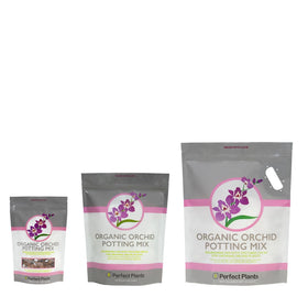 Perfect Plants Orchid Mix healthy growth example with thriving orchid in airy substrate