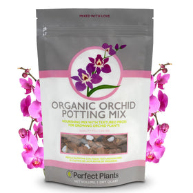 Perfect Plants Orchid Potting Mix front view, ready-to-use 1 quart bag for storage