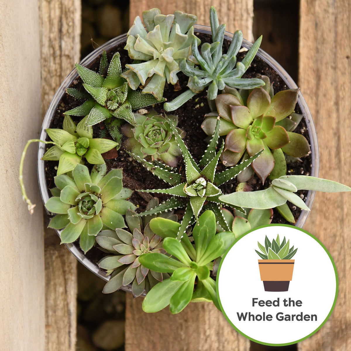 PERFECT PLANTS resealable pouch packaging keeps pellets fresh for months of use.