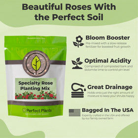 Perfect Plants rose planting mix with 18-6-8 fertilizer feeds roses over months.