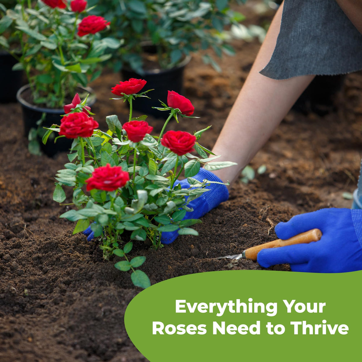 Fresh resealable Perfect Plants packaging keeps soil ready for seasonal care.
