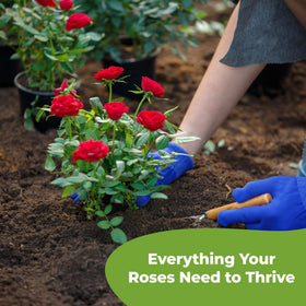Fresh resealable Perfect Plants packaging keeps soil ready for seasonal care.