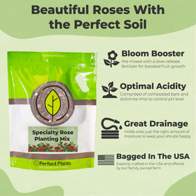 Perfect Plants Rose Potting Mix promotes drainage and aeration for strong roots.