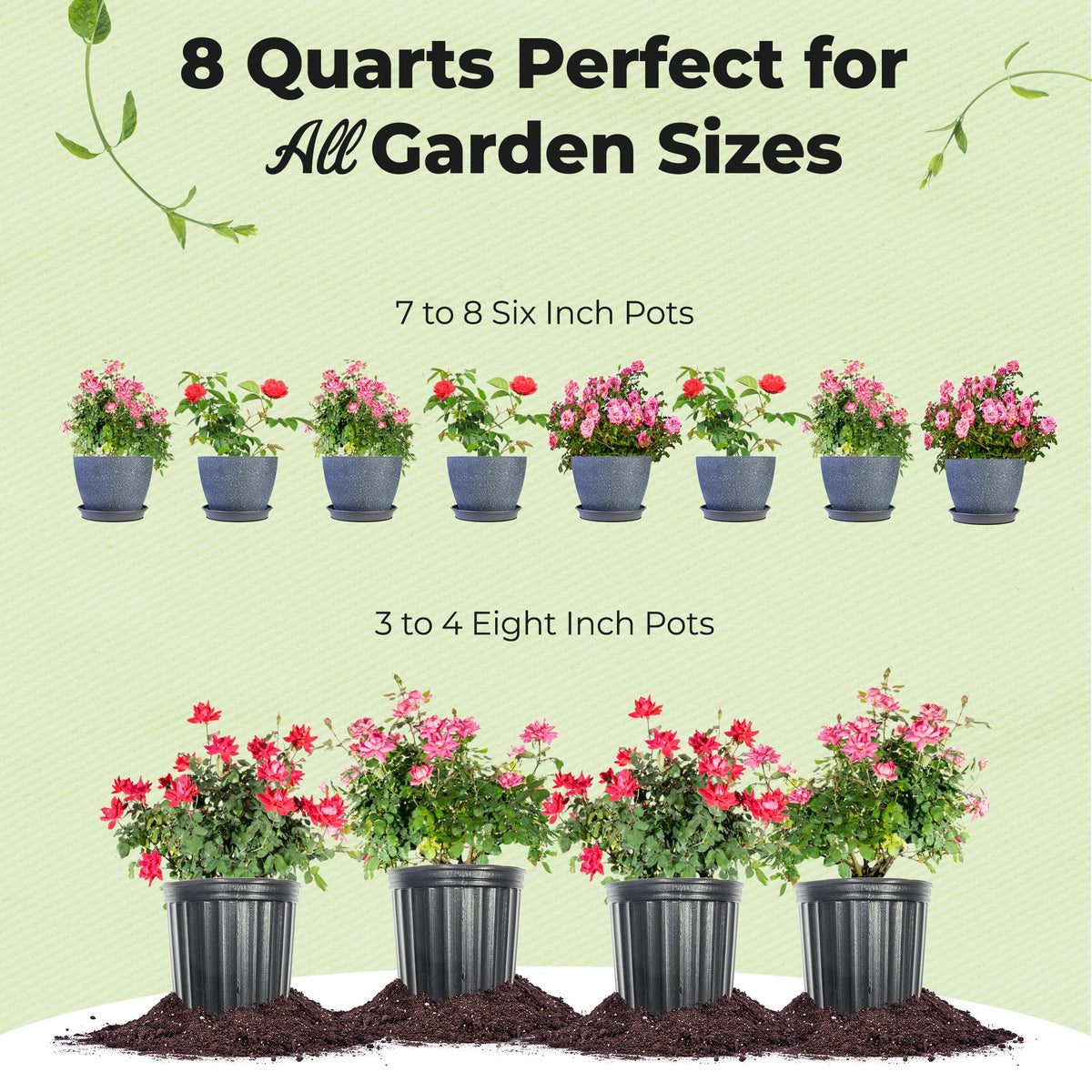 Perfect Plants Rose Potting Mix suitable for all rose varieties and settings.