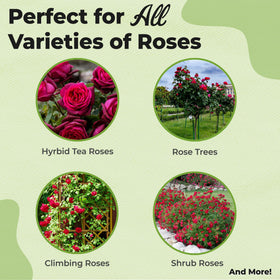 Perfect Plants specialty rose planting mix 8qt bag supports steady rose bloom.
