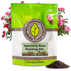 Perfect Plants Specialty Rose Potting Mix 8qt bag supports drainage for healthier roses.