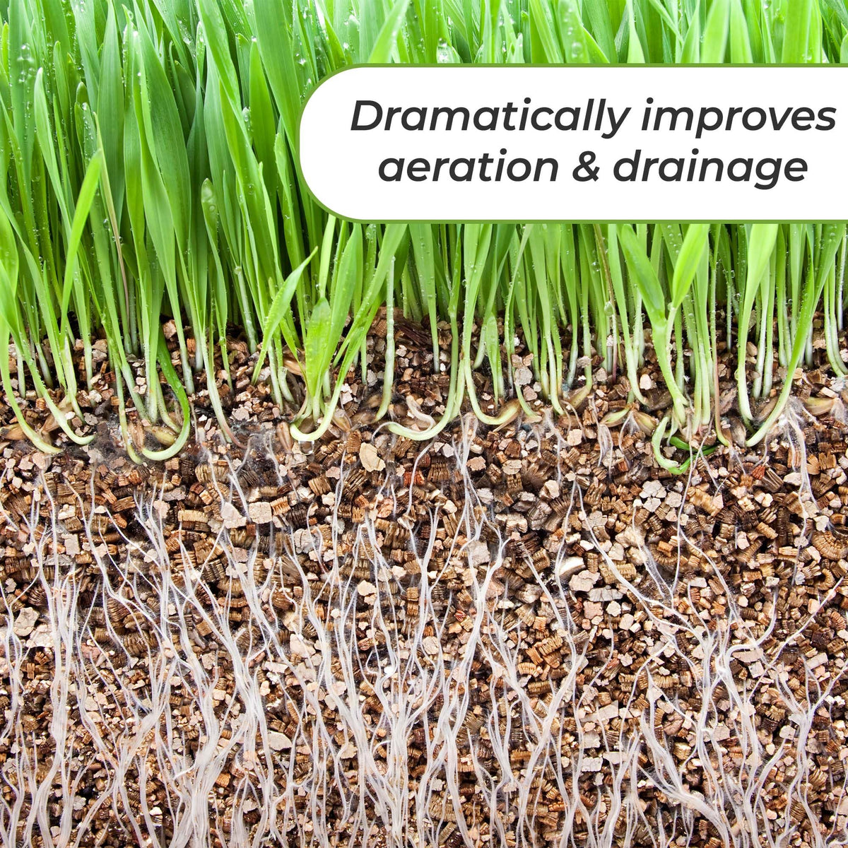 Application of Perfect Plants vermiculite for seed starting and root growth