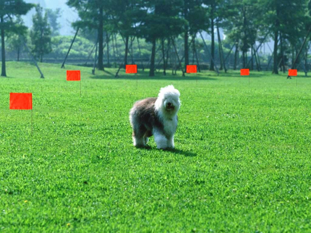 PerfectFly weather-resistant flags suitable for borders, gardens, and sites.