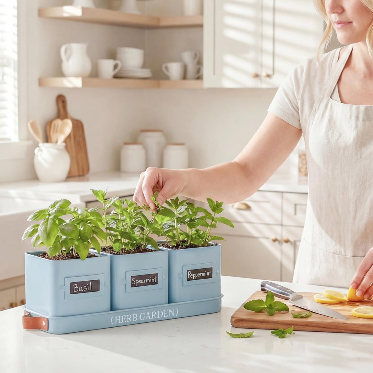 Perfnique compact herb pots ideal for small indoor spaces.